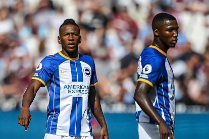 Pervis Estupiñán y Moisés Caicedo, harto fútbol ecuatoriano en Inglaterra.