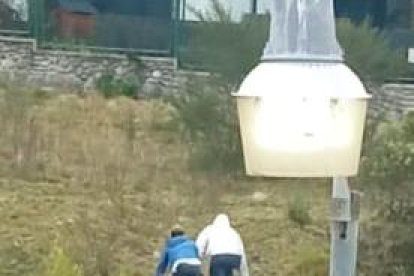 Presuntos delincuentes huyendo hacia la maleza.