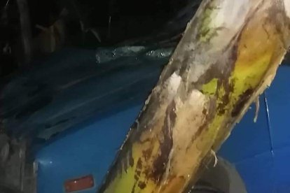 El carro quedó en la cuneta y las víctimas sobre el pavimento.