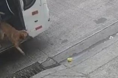 Captura de pantalla del video en el que Denver se hizo famoso. Él tomó el bus 705 de la línea 16 y se bajó como si nada.