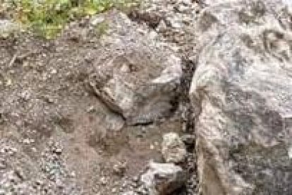 Agentes de la Guardia Nacional (GN) y del Instituto Nacional de Migración (INM) ubicaron a los viajeros irregulares.