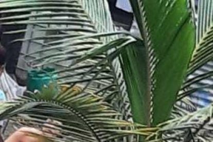 El ataque más recientes fue en la ciudadela María Luisa de Pedernales, provincia de Manabí.