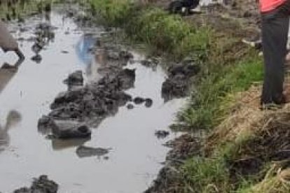 El accidente ocurrió  a las 10:00 de este jueves 2 de febrero de 2023.