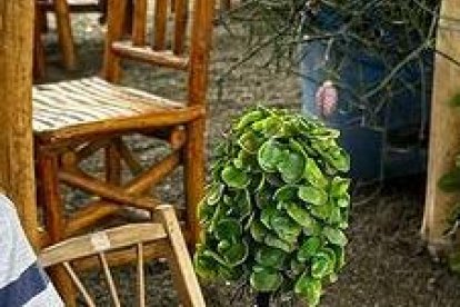 Jorgito es considerado un personaje mediático o popular.