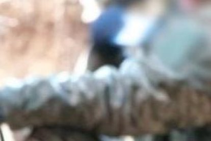 Vitalii Merinov, de nacionalidad ucraniana era tetracampeón del mundo de kickboxing.