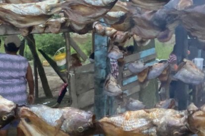 Los pescados de agua dulce esperan ser llevados a la ‘panza’.