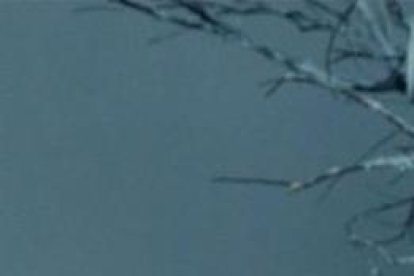 Shakira en el video de la canción TQG junto a Karol G