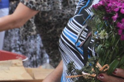 Un ramo lo venden en un dólar; cuando viene con maceta cuesta dos dólares. Una flor cuesta 0,50 centavos.