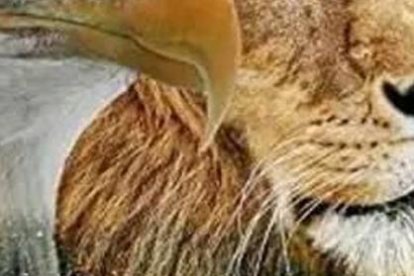 En un gráfico de Los Choneros se ve a los animales que los representan, los cuales están basados en un versículo.