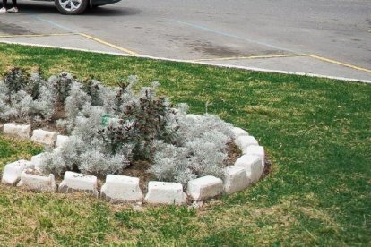 En las inmediaciones de la terminal terrestre abordaron a unas víctimas.