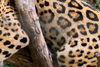 Un sinnúmero de especies puedes apreciar en este lugar.