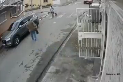 Una cámara de seguridad registró el momento en que un sujeto que supuestamente paseaba a su perro le roba a un ciudadano en Jardines del Salado.