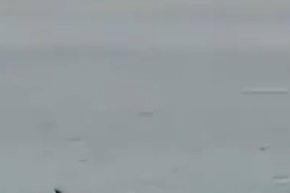 Un hombre fue atacado por un tiburón en una plata del mar Rojo, en Egipto.