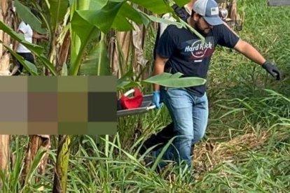 Dos cadáveres fueron hallados en la vía Buenavista-Pasaje.