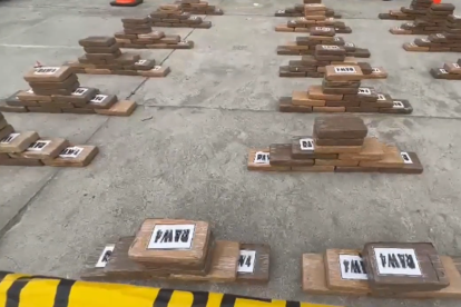 Más de 2,5 millones de dosis de clorhidrato de cocaína fueron encontradas en poder de un sujeto que registraba 14 detenciones.