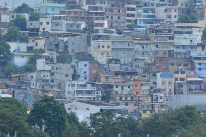 El remo volvió al río Guayas, dándole más vida y mostrando la garra de nuestros deportistas.
