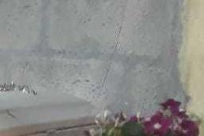 En la casa de su abuela, sobre una mesa, colocaron el cofre blanco con los restos de la inocente criatura. La noche del lunes 21 de agosto vecinos llegaron al sitio para solidarizarse.