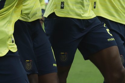 La felicidad de los tricolores tras uno de los goles en la victoria sobre Uruguay.