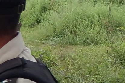 Un grupo de policías buscaba la cabeza y piernas a orillas del río.