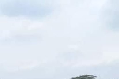 Los restos fueron hallados la tarde de este miércoles 20 de septiembre de 2023.