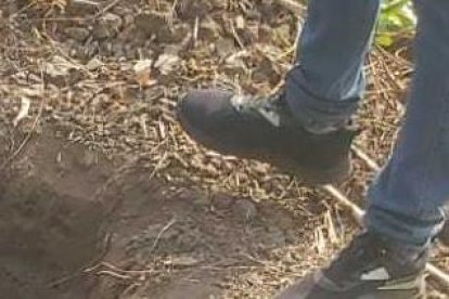 En un sector del cantón Palenque hallaron los huesos de un desaparecido.