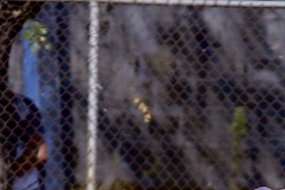 Miller Bolaños sería baja en Emelec, para el encuentro ante la Universidad Católica.