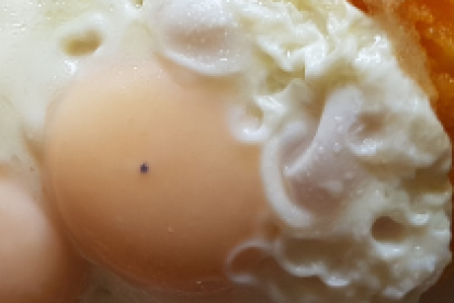 El llapingacho es uno de los platos típicos de Ecuador.