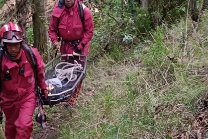 Los restos fueron levantados por miembros de los bomberos.