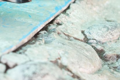 El equipo de Libourel, además de científicos del Instituto de Investigación Polar de Corea, estudiaron el comportamiento del sueño de una colonia de pingüinos barbijo.