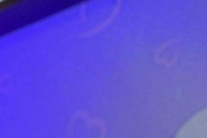 PRESENTADORA DEL PROGRAMA DE TELEVISIÓN "DE CASA EN CASA", DE TC |