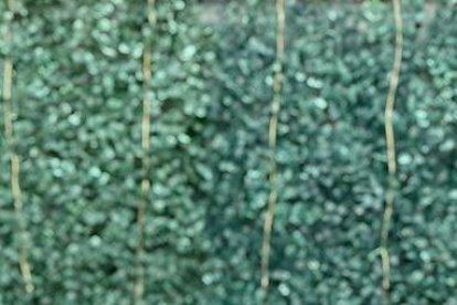 El actor hizo el anuncio de su matrimonio, en un publicación en la red social Instagram