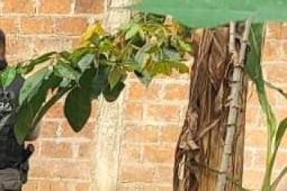 En un terreno cerca a unas plantaciones hallaron muerto a balazos a un hombre de 31 años.