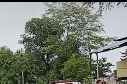 La víctima fue hallada con varios impactos de bala en su cuerpo.