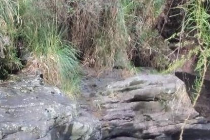 Los socorristas realizaron varias maniobras para sacar los cuerpos del río.