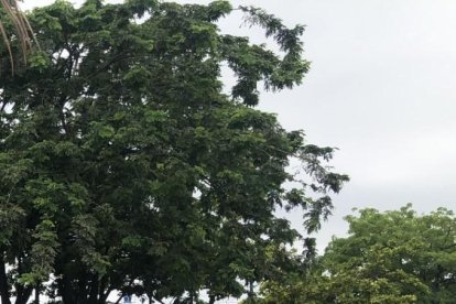 Compañeros lloraron por lo ocurrido a Carlos Gil, quien fue atacado con 6 disparos en la avenida Clemente Baquerizo.