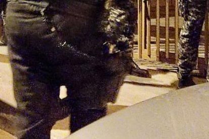 Allanamiento de la vivienda de uno de los procesados en el Caso Plaga