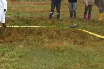 Estudiantes de la ESPE hallaron el cuerpo del ave en un páramo