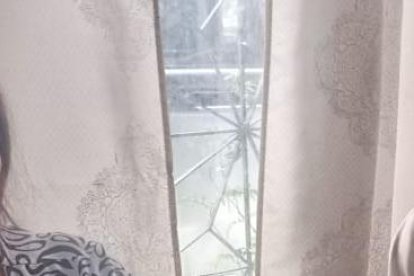 La perrita es adulta y al parecer tiene problemas auditivos. Esta se recupera en la casa con medicamentos.