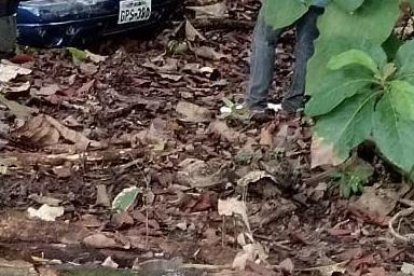 El médico herido se salió de la carretera y terminó en medio de unos árboles.