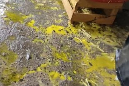 Funcionario de Arcsa colocando el adhesivo de clausura en el establecimiento