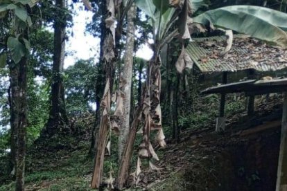 Enfrentamientos registrados durante la tarde del sábado y la mañana del domingo alarmaron a la población.