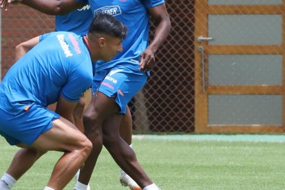 La selección ecuatoriana de fútbol quedó sin timonel luego de disputar la Copa América 2024, en la que fue eliminada por Argentina en cuartos de final.