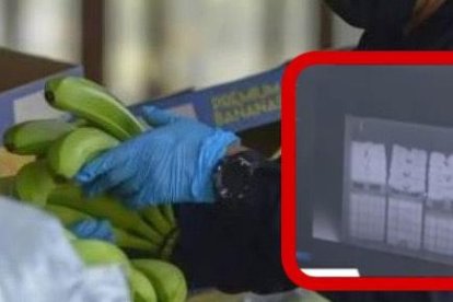 A través de un escáner fue detectada la mercadería ilegal.