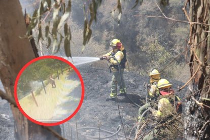 El Cuerpo de Bomberos ha utilizado el 98 % de su capacidad. Incendios han sido provoados