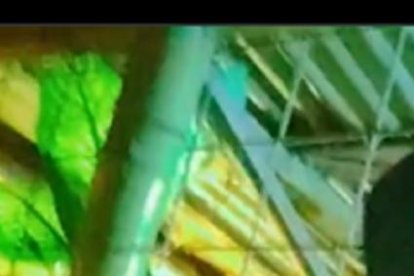 Captura de pantalla del video que fue publicado en la red social X, antes Twitter.