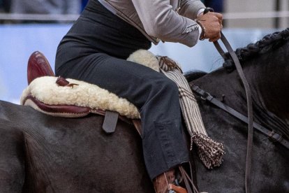 Espectáculo ecuestre que fusiona las tradiciones de España y Ecuador.