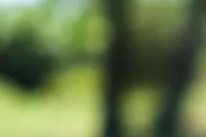 Usuarios han reportado una pésima señal en el servicio de telefonías.