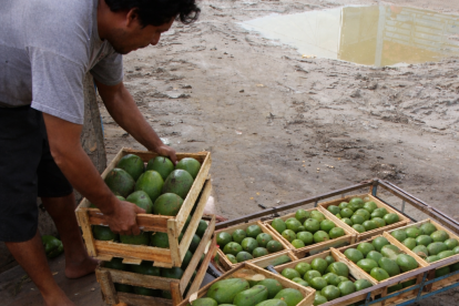 El sospechoso es de nacionalidad venezolana.