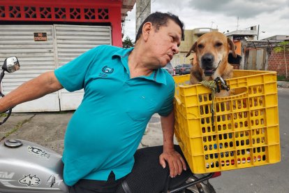 Maluma, el perro motociclista, se roba las miradas mientras recorre Guayaquil junto a su dueño sobre una moto.
