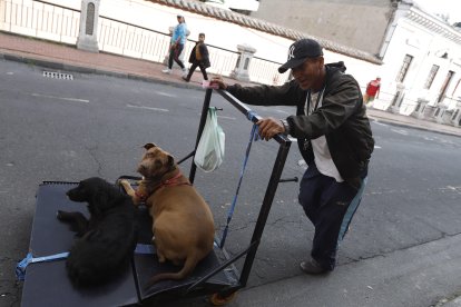 Carlos recorre todos los días las calles del Centro Histórico de Quito junto a sus dos canes.